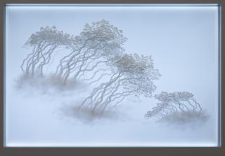 Bong-Chae Son - Migrants (010).