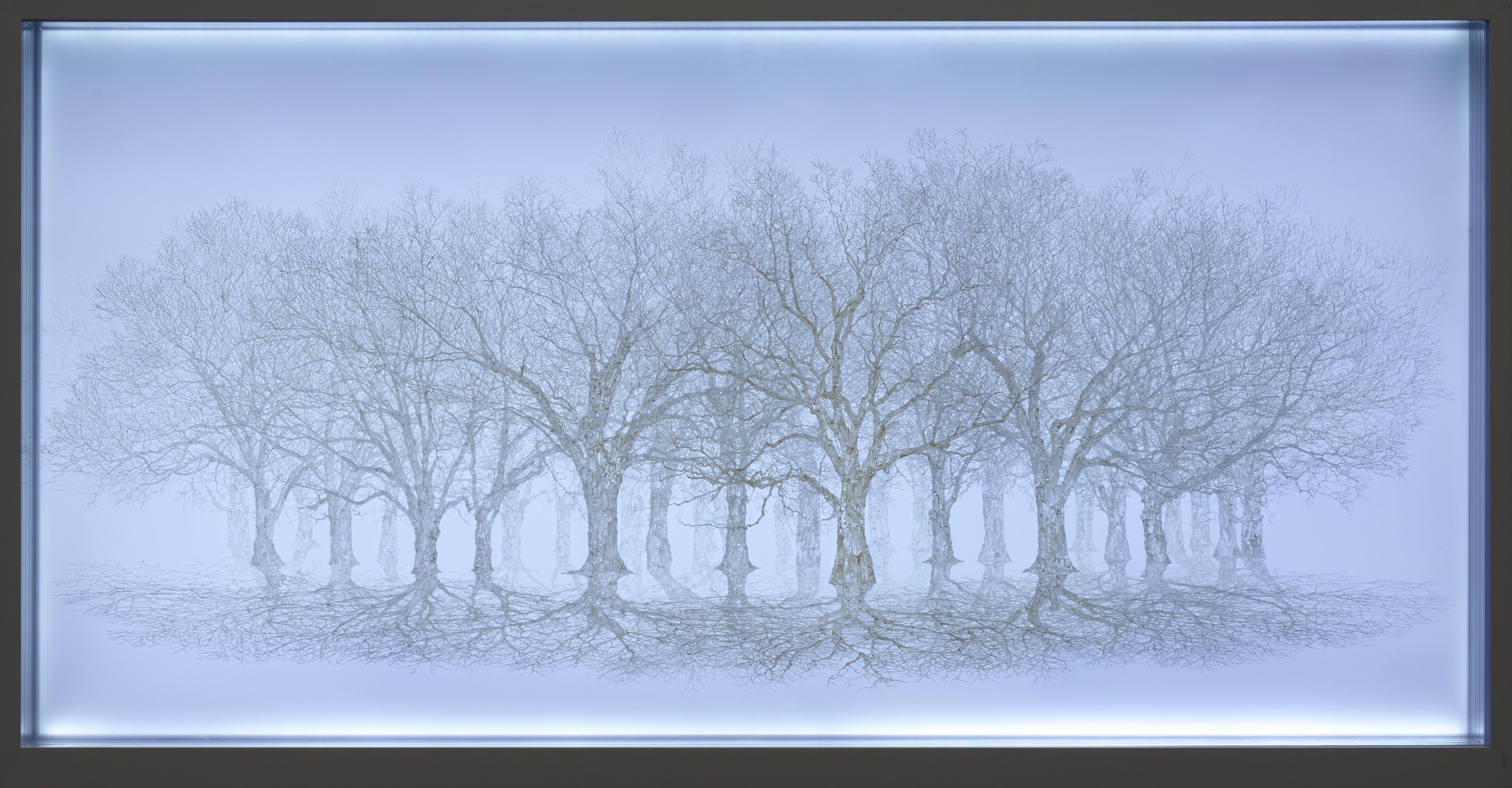 Bong-Chae Son - Migrants (011).