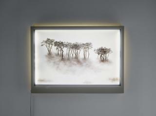 Bong-Chae Son - Migrants (012).