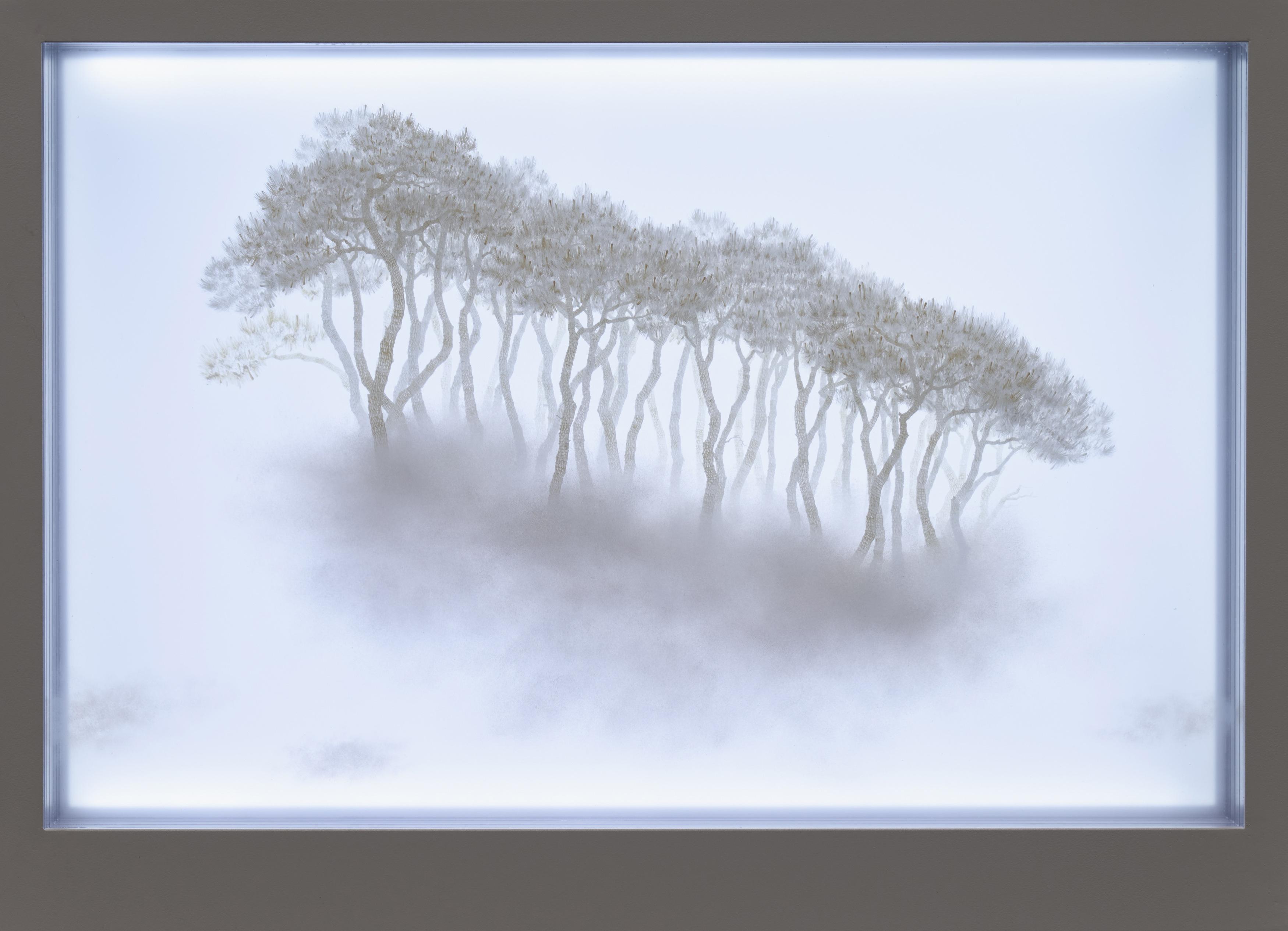 Bong-Chae Son - Migrants (013).