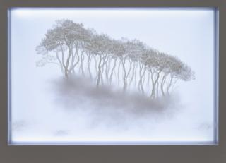 Bong-Chae Son - Migrants (013).