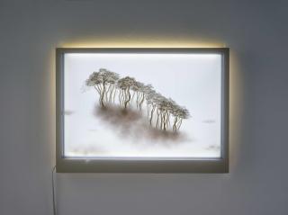 Bong-Chae Son - Migrants (014).