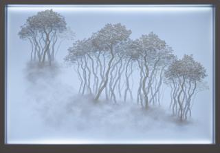 Bong-Chae Son - Migrants (018).