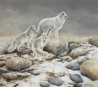 Bonnie Marris - Arctic Phantoms 14 x 16in