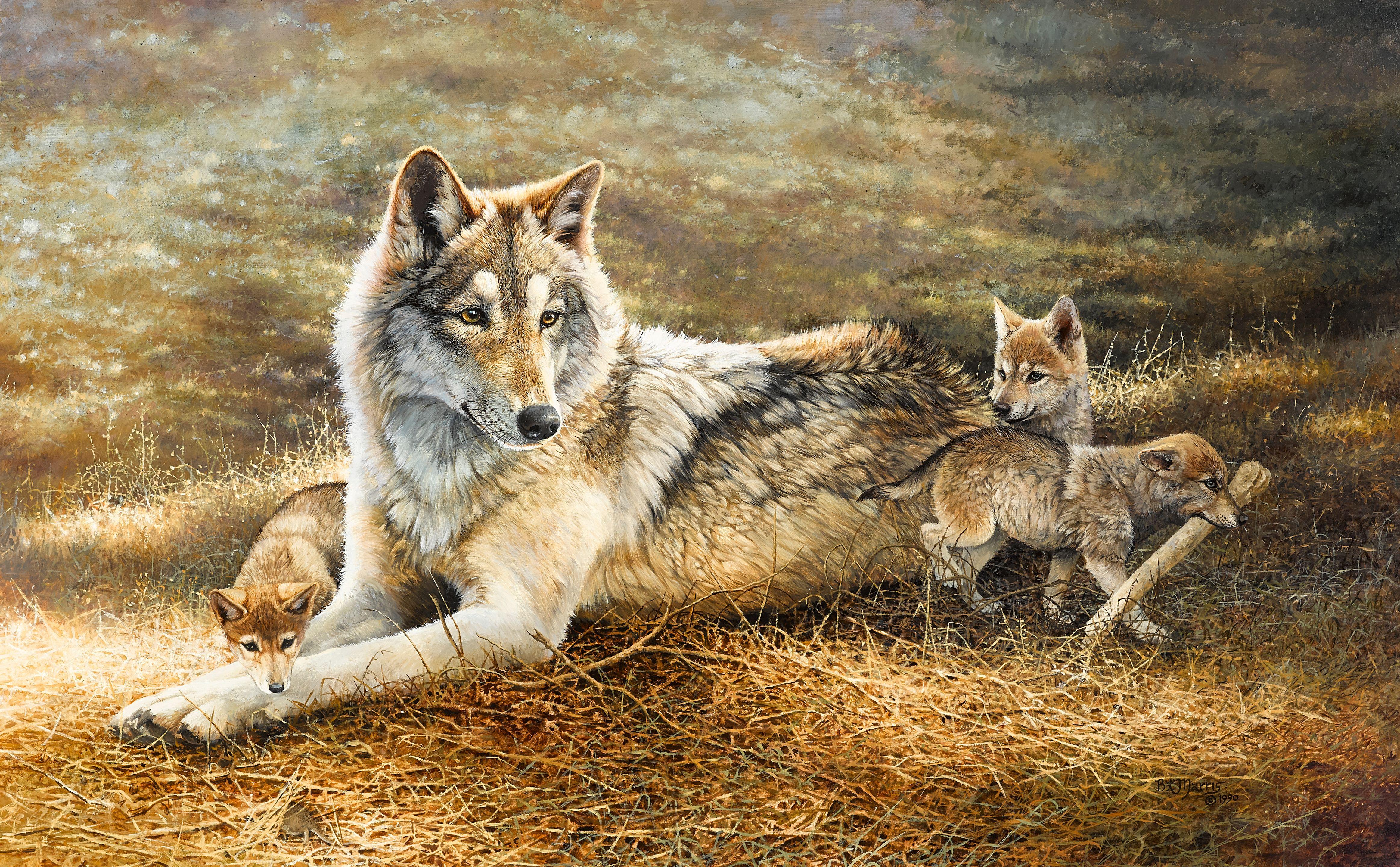 Bonnie Marris - Mother Wolf and Cubs 30 x 48in