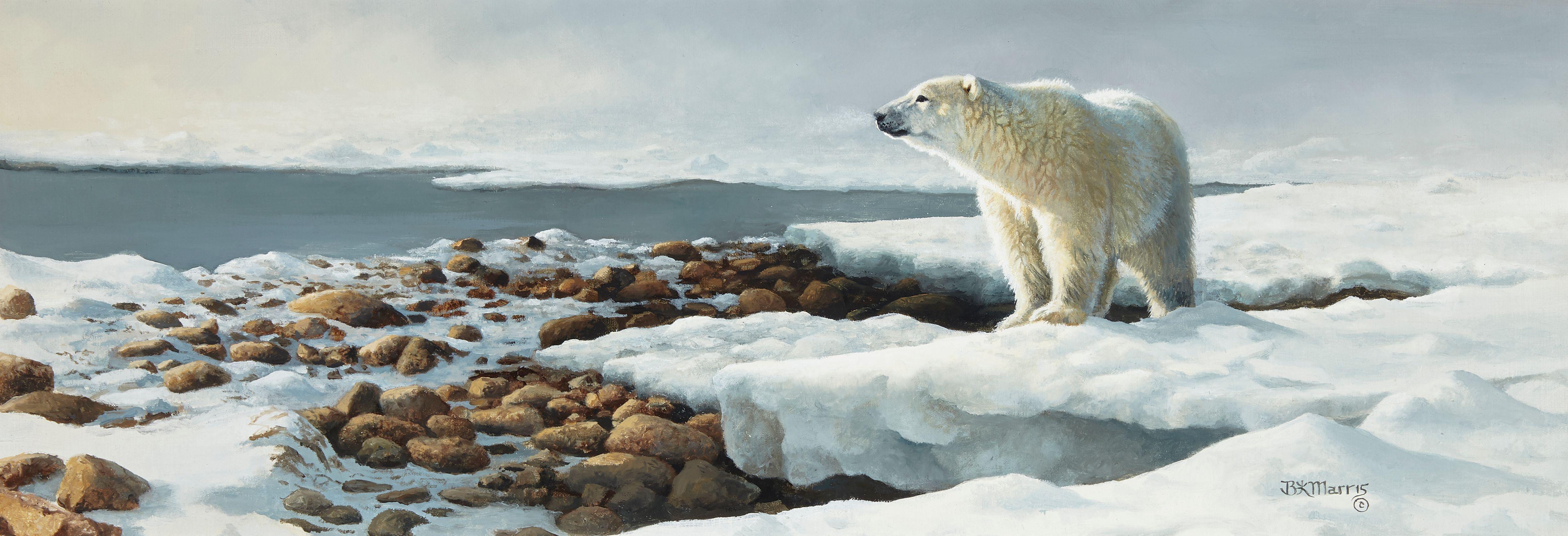 Bonnie Marris - Waiting for the Freeze 8 x 22in