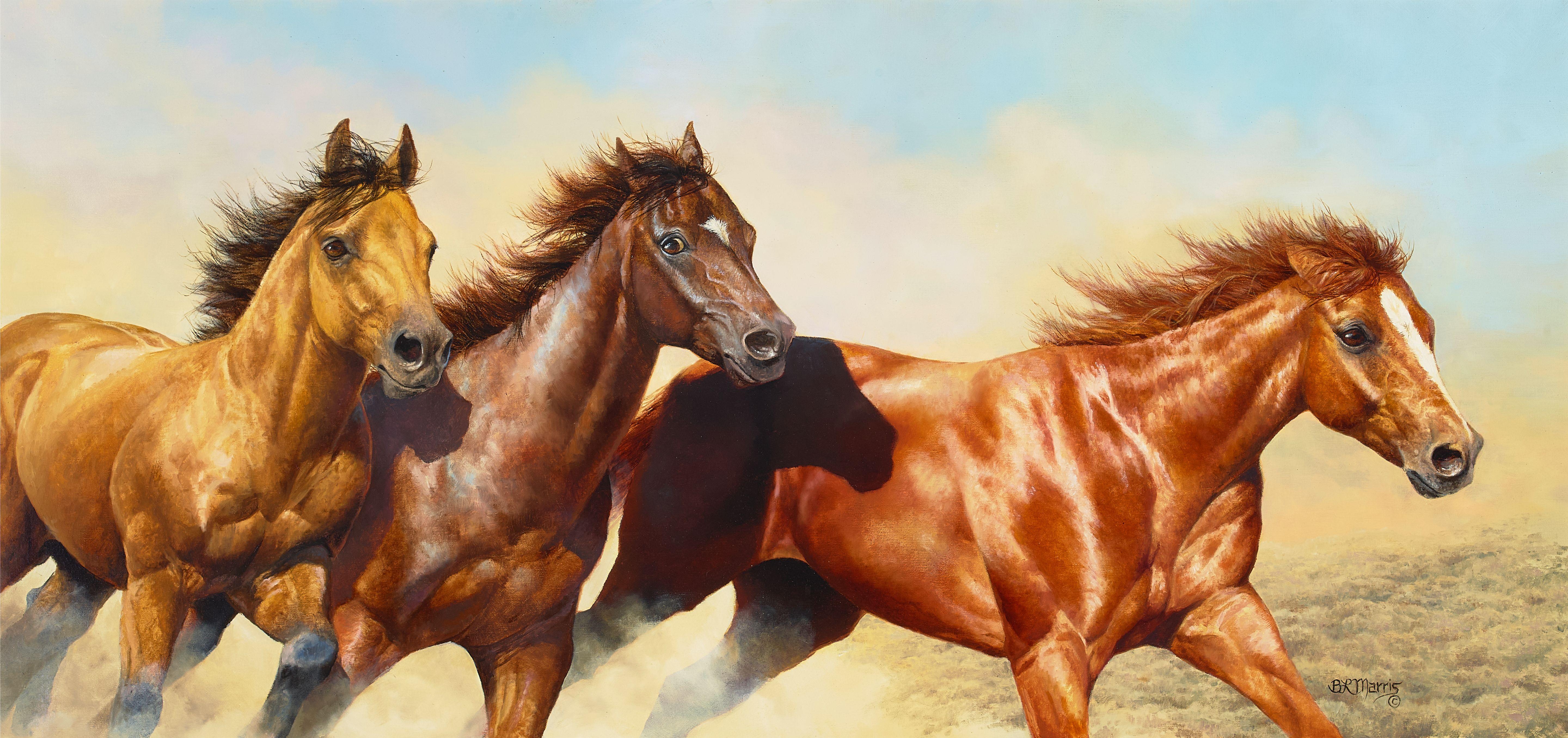 Bonnie Marris - Wild and Free 20 x 42 in. framed 28 x 50 in.