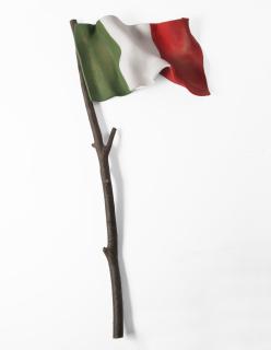 Bonomo Faita - Soft revolution