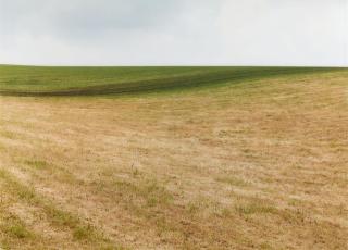 Boris Becker - Feld 1258