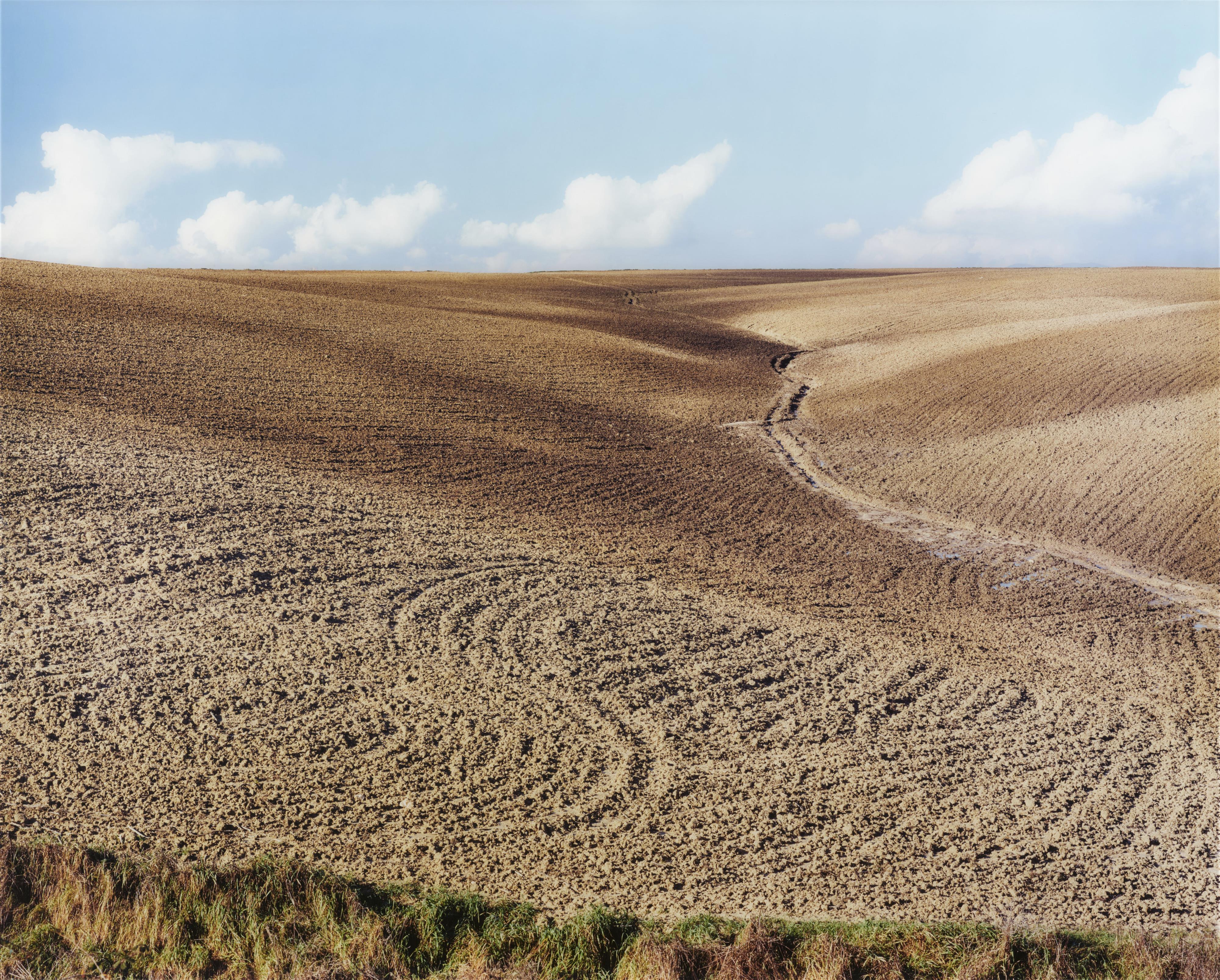 Boris Becker - Ohne Titel 1429