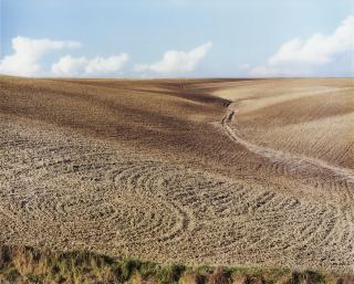 Boris Becker - Ohne Titel 1429