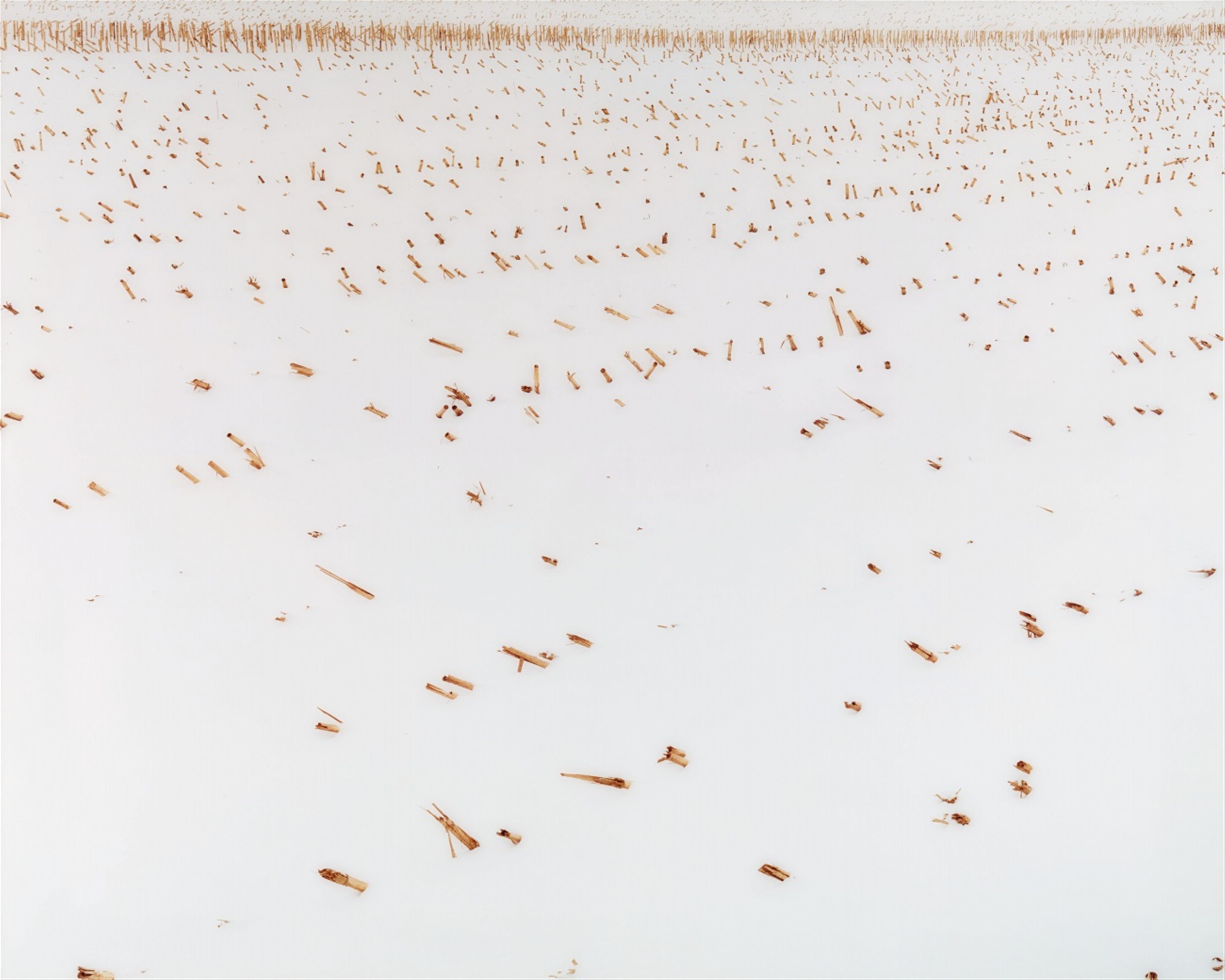 Boris Becker - Schneefeld 1330