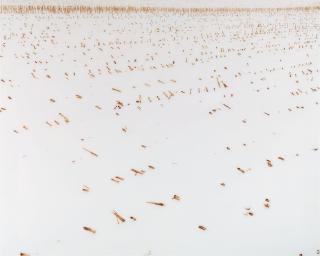 Boris Becker - Schneefeld 1330