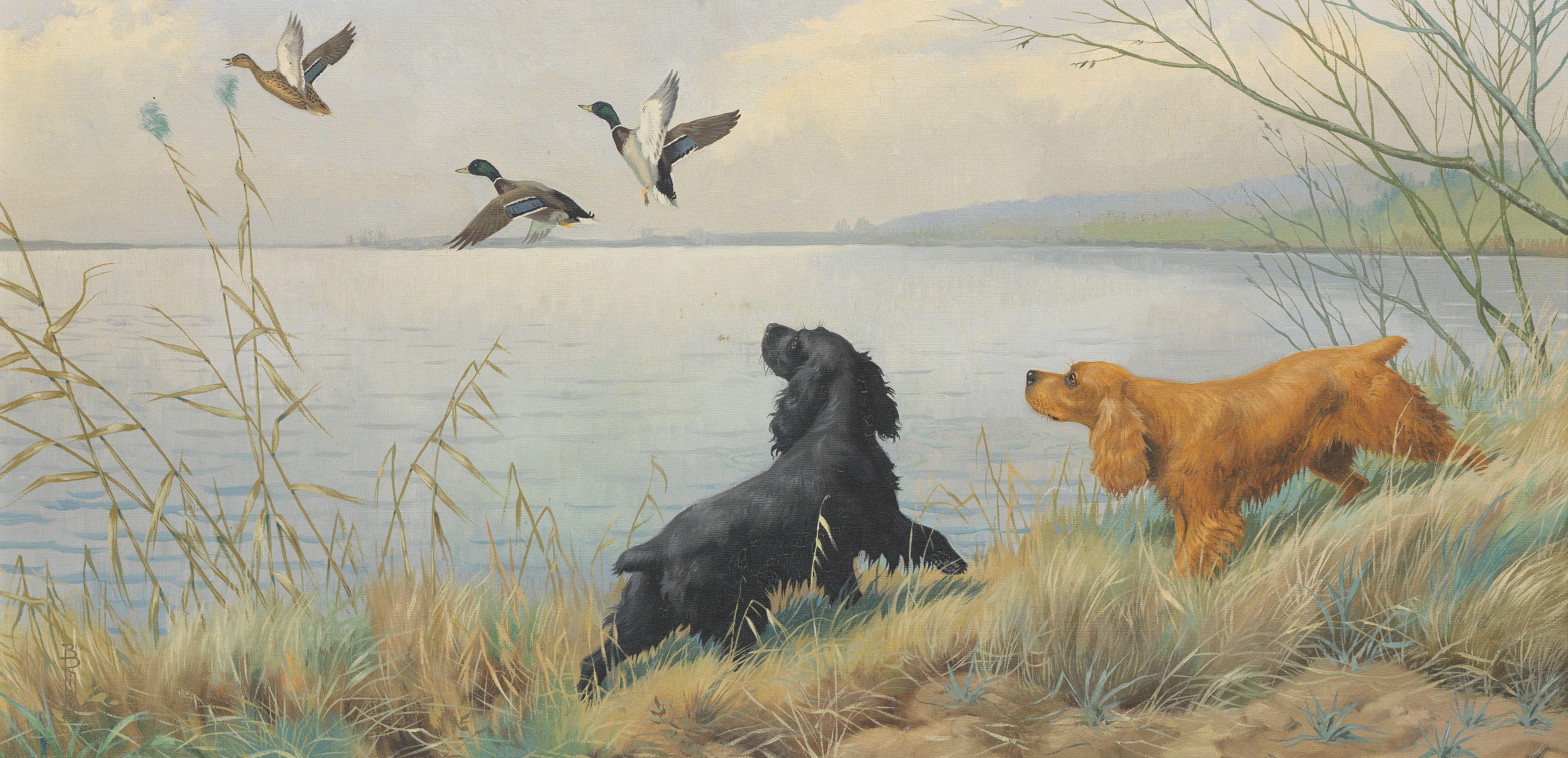 Boris Riab - Flushed