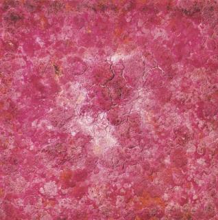 Bosco Sodi - Organic Pink