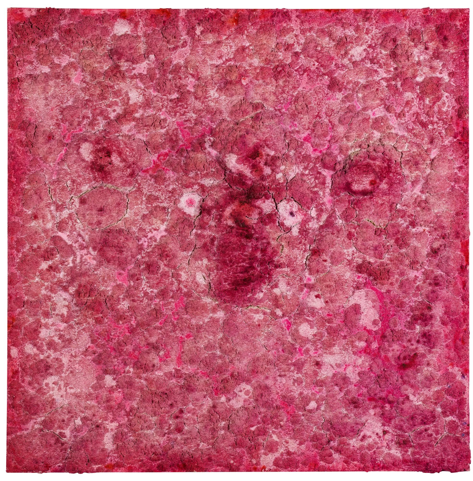 Bosco Sodi - Untitled