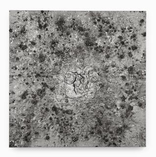 Bosco Sodi - Untitled