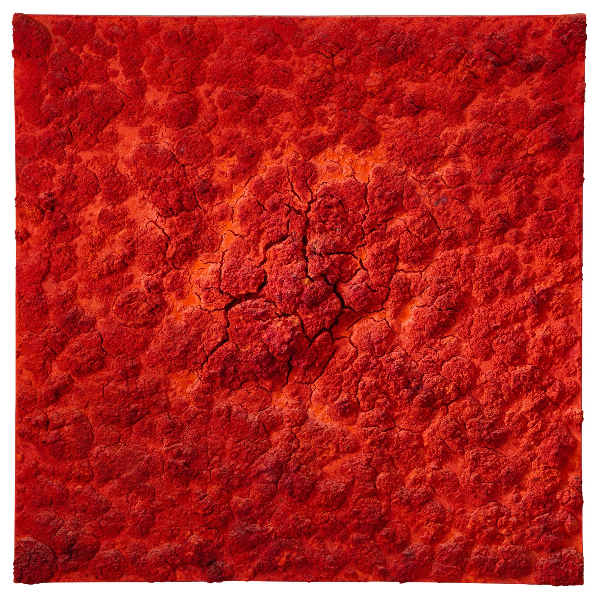 Bosco Sodi - Untitled