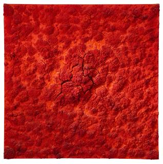 Bosco Sodi - Untitled