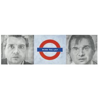 Bose Krishnamachari - Mind The Gap