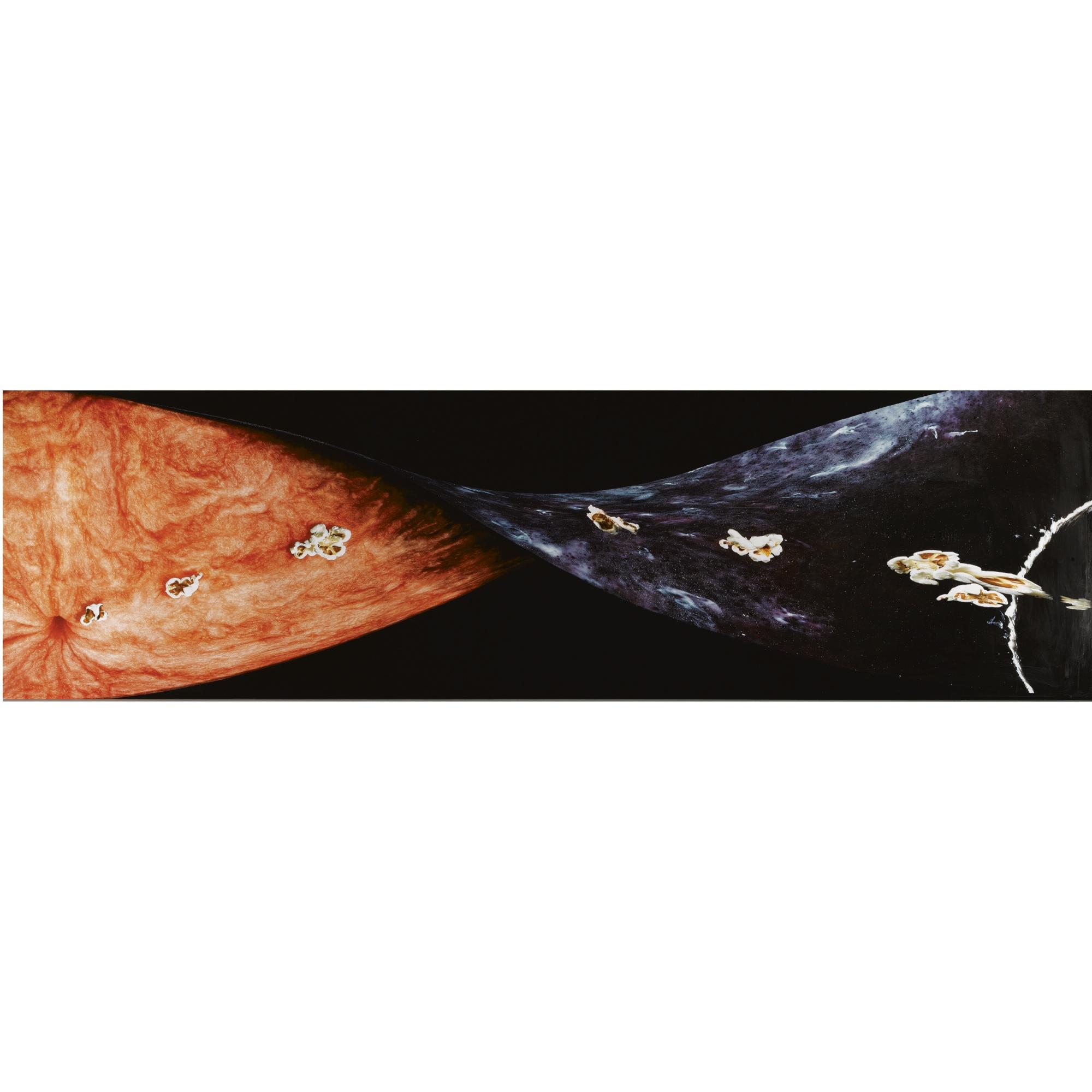 Boyd Webb - Asteroid And Kidney Stone