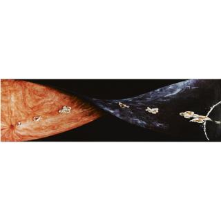 Boyd Webb - Asteroid And Kidney Stone