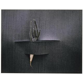 Boyd Webb - \'Fish\' And \'Wrist\'. Two Studies, 1983