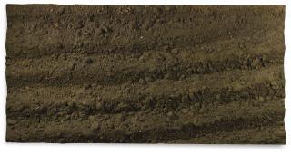 Boyle Family - Study Of A Potato Field