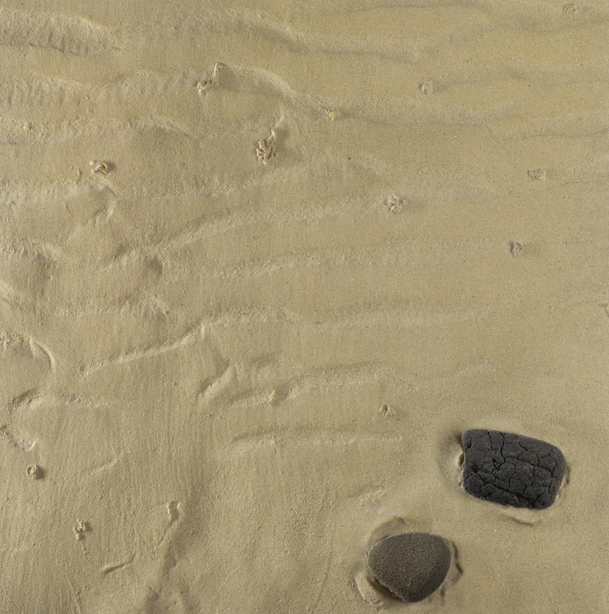 Boyle Family - Study Of Rippled Sand And Rocks With Worm Casts, Hebrides 