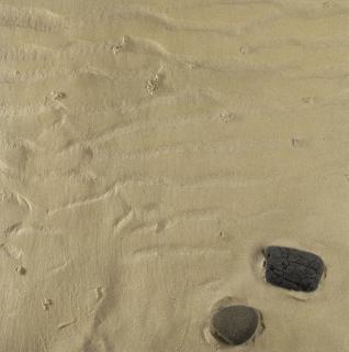 Boyle Family - Study Of Rippled Sand And Rocks With Worm Casts, Hebrides 