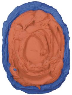 Bram Bogart - La vie du visible