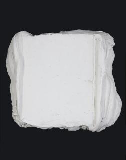 Bram Bogart - Witvlak