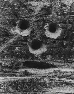 Brassaï - Graffiti #17, 1944–1945