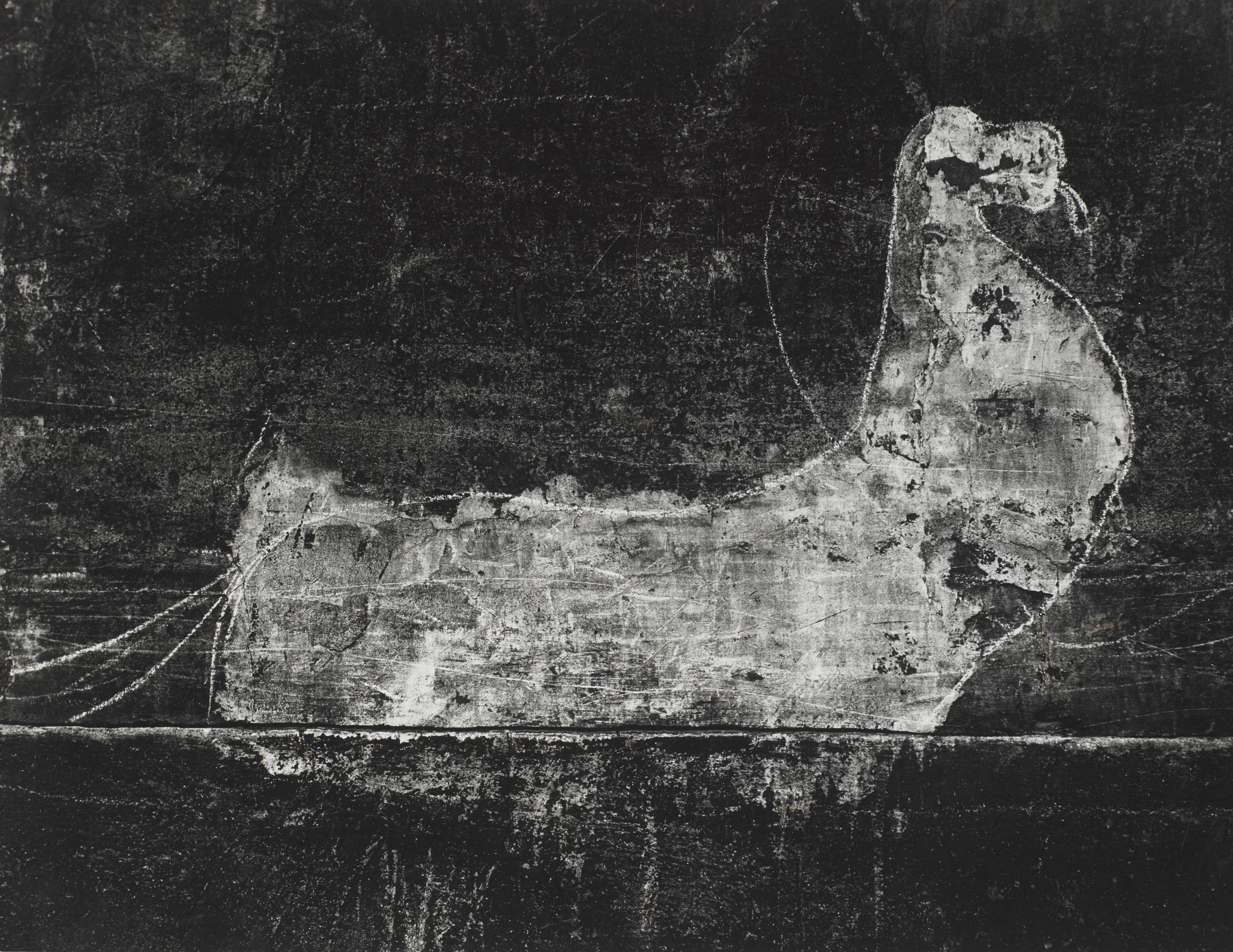 Brassaï - Graffiti, no. 40 from Animals, 1933-1956