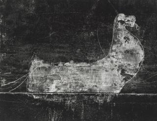 Brassaï - Graffiti, no. 40 from Animals, 1933-1956