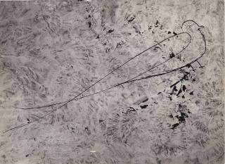 Brassaï - Graffiti (série V, Animaux), 1940