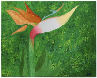 Brenden Mastache - Bird of Paradise