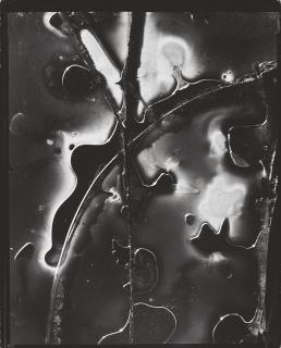 Brett Weston - Abstraction, 1956