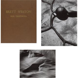 Brett Weston - \'Baja\'