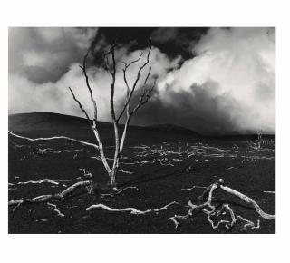 Brett Weston - \'Brett Weston: Leaves And Lava, Hawaii\'