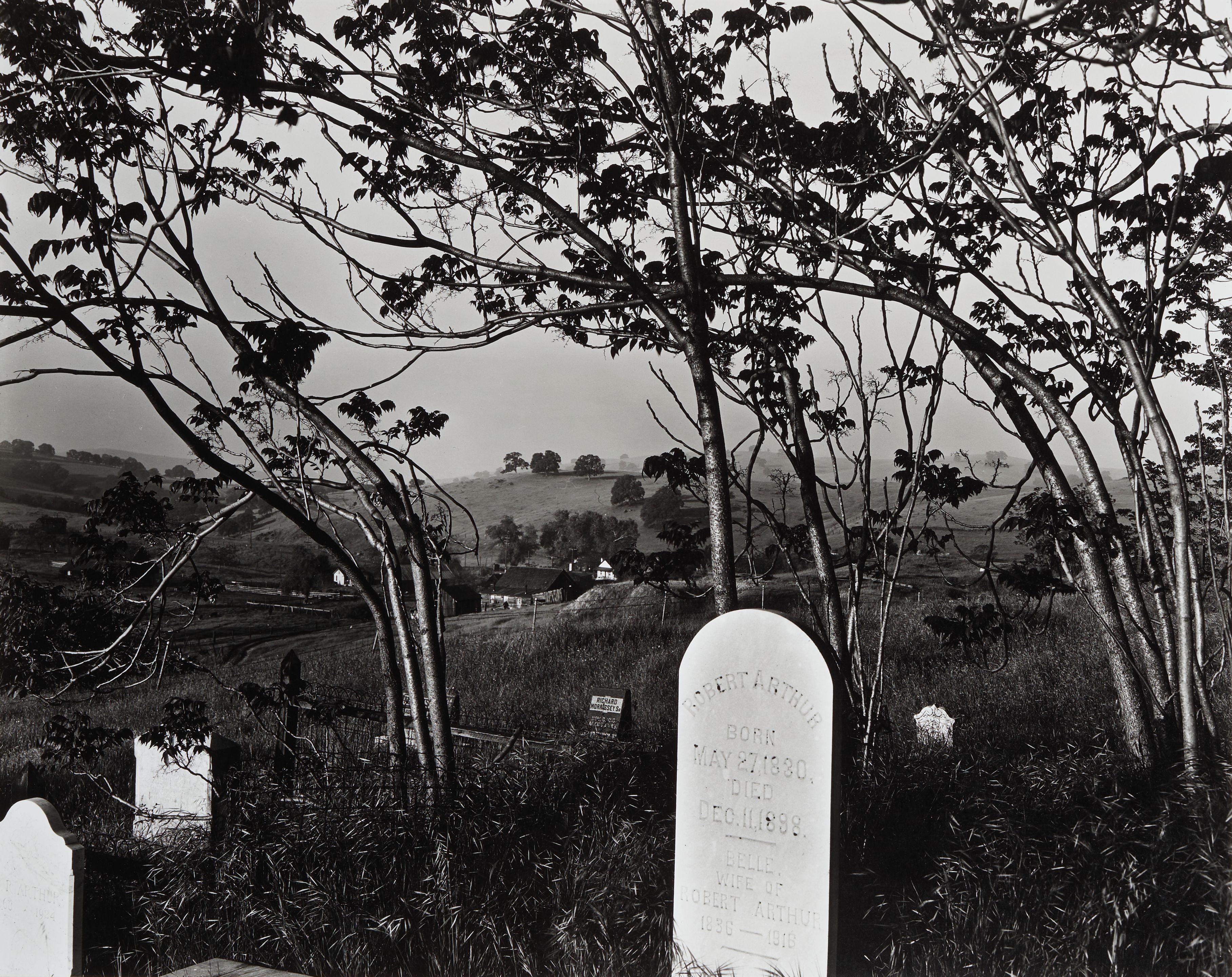 Brett Weston - Cemetery with Wild Trees, Hornitos, California