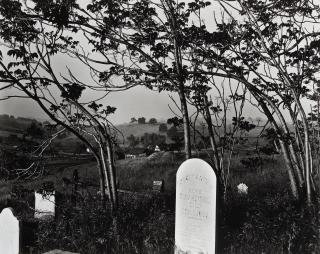 Brett Weston - Cemetery with Wild Trees, Hornitos, California