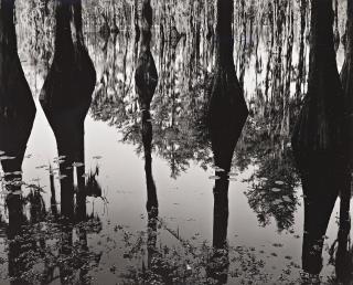 Brett Weston - \