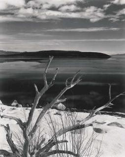 Brett Weston - Mono Lake, Circa 1956