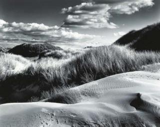 Brett Weston - Oceano, California, 1957