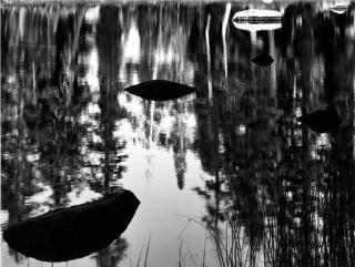 Brett Weston - Pond, High Sierra