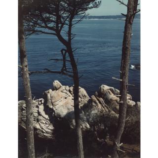 Brett Weston - Selected Polaroids