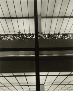 Brett Weston - Storefront