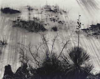 Brett Weston - White Sands, 1946