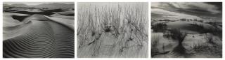 Brett Weston - White Sands, 1946